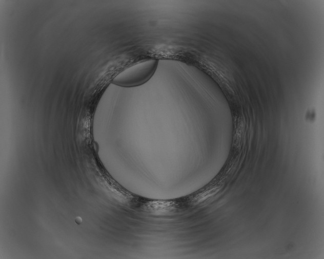 X0000088850526200706291458