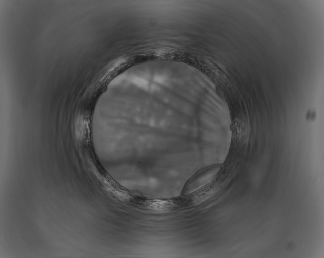 X0000088850527200706291458