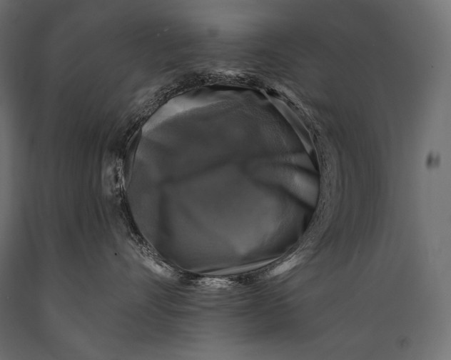 X0000088850528200706291458