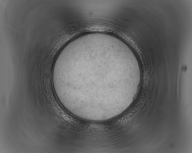 X0000088850529200706291457