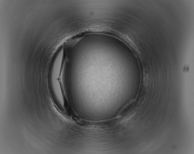 X0000088850530200706291457