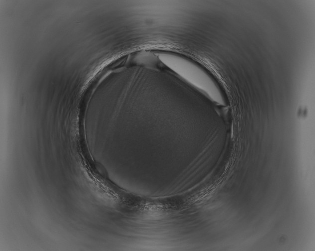 X0000088850531200706291457