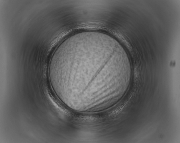 X0000088850533200706291457