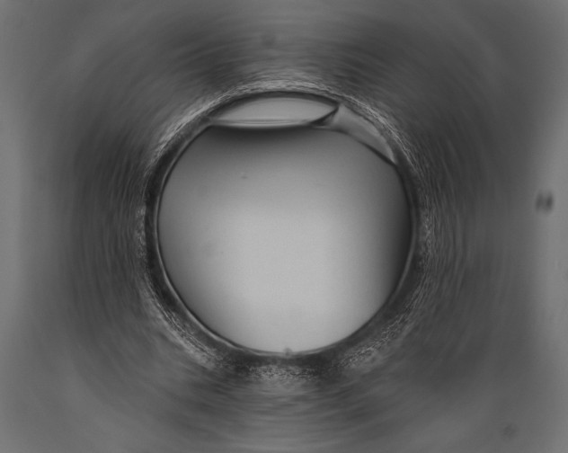 X0000088850535200706291457