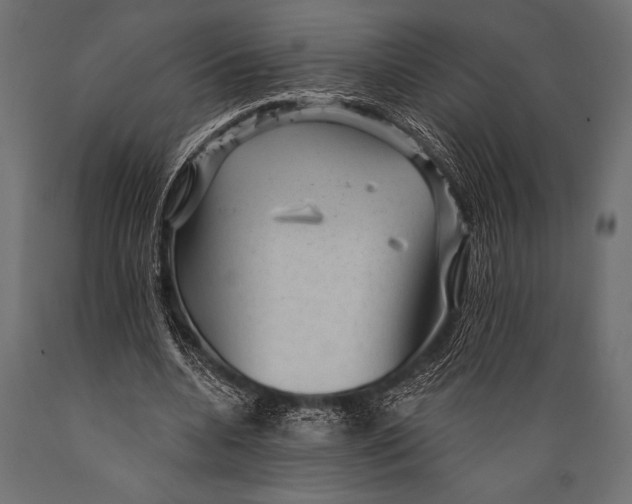 X0000088850536200706291457