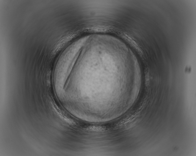 X0000088850537200706291457