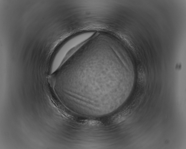 X0000088850539200706291457