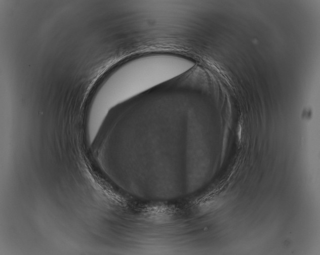 X0000088850540200706291457