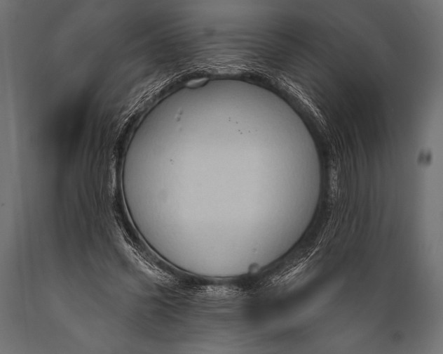 X0000088850541200706291457