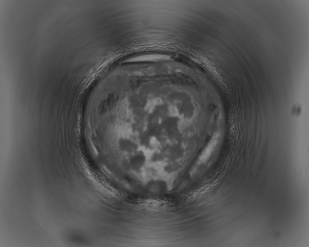 X0000088850542200706291457