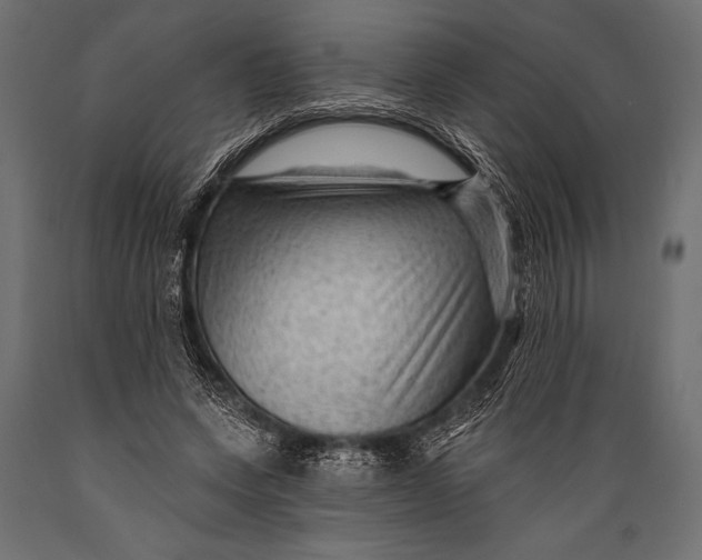 X0000088850543200706291457