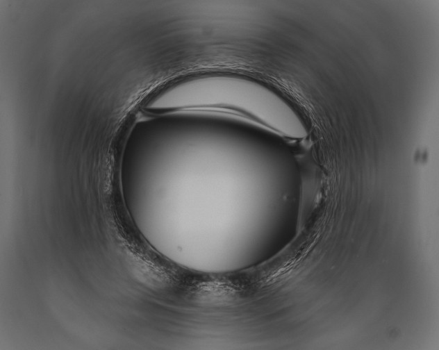 X0000088850544200706291457