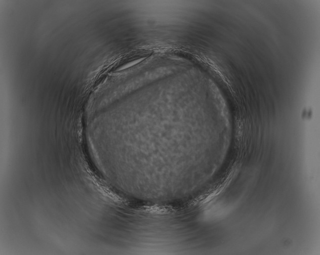 X0000088850545200706291457