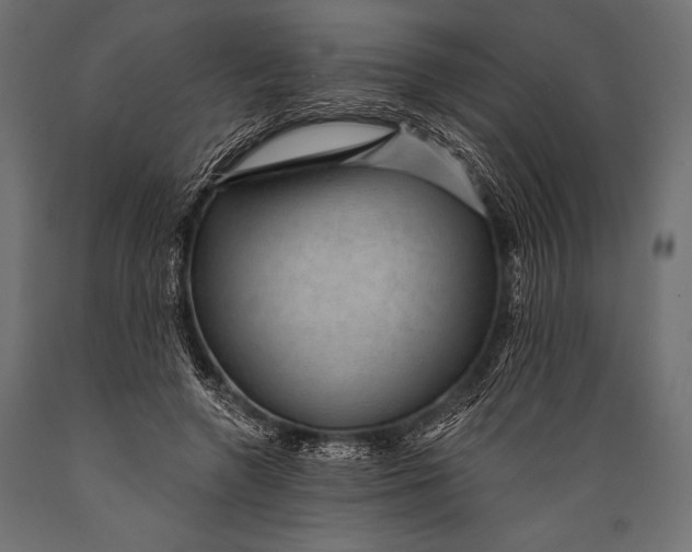 X0000088850546200706291457