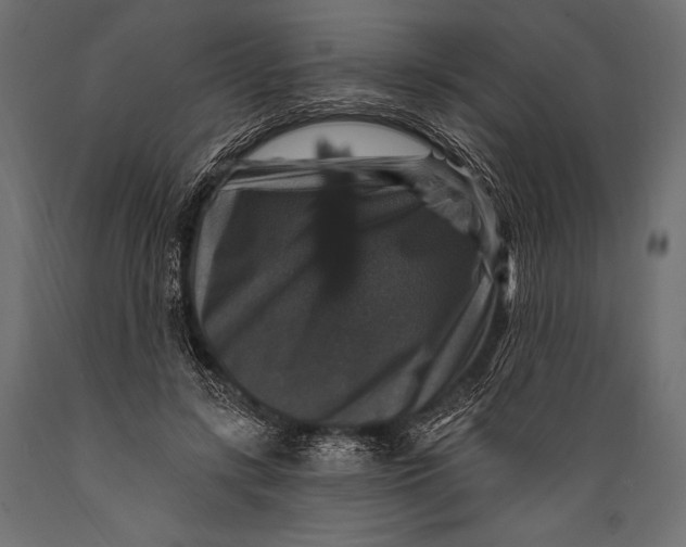 X0000088850547200706291457