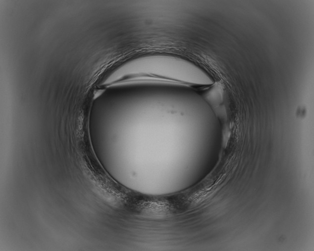 X0000088850548200706291457