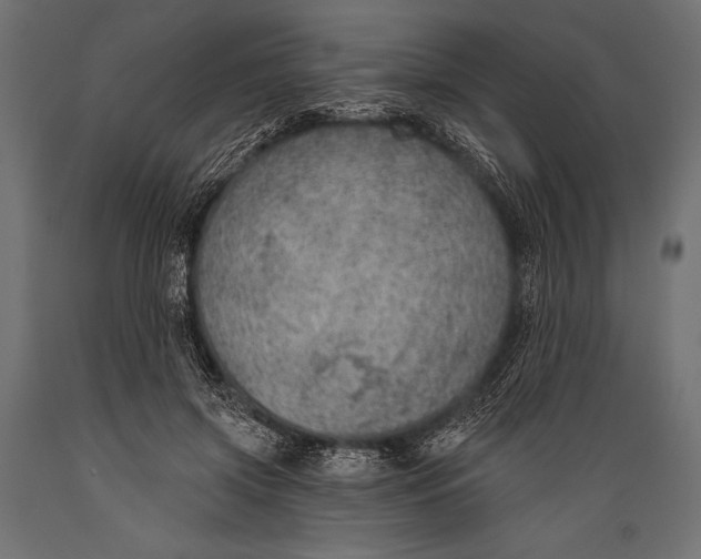 X0000088850549200706291457