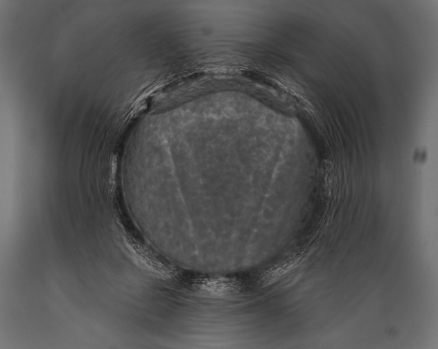 X0000088850550200706291457