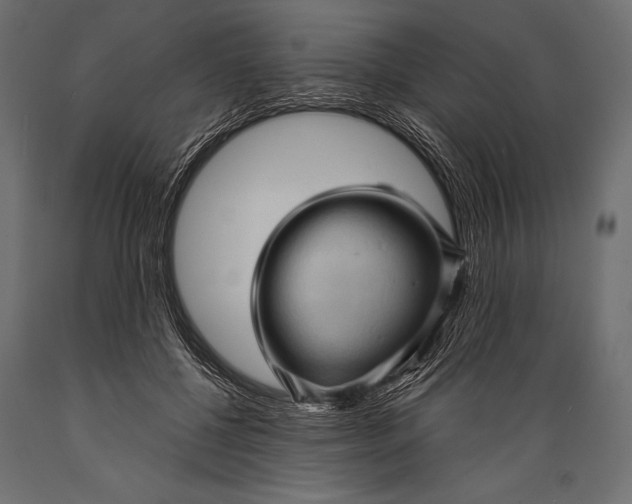 X0000088850552200706291457