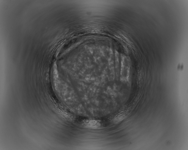 X0000088850553200706291457