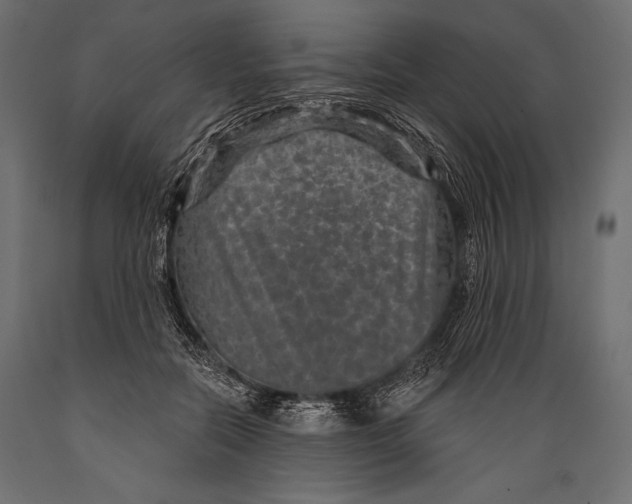 X0000088850554200706291457