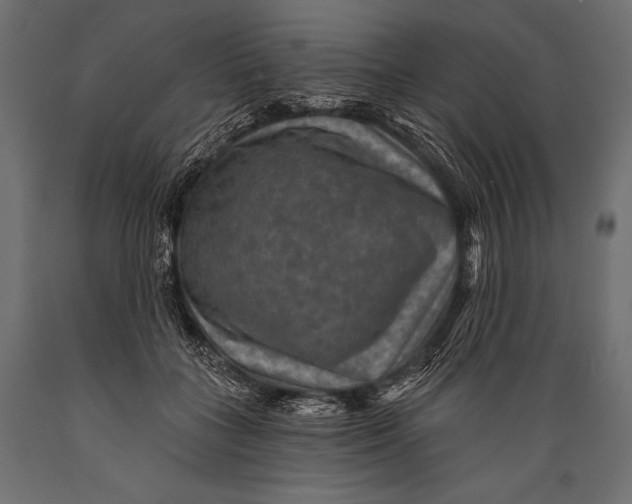 X0000088850555200706291457