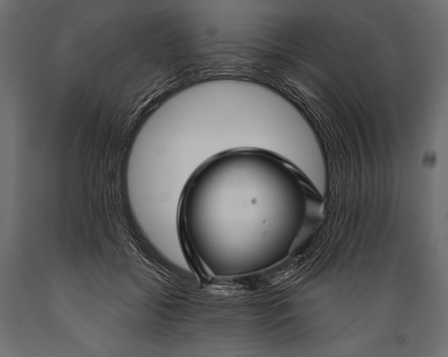 X0000088850556200706291457