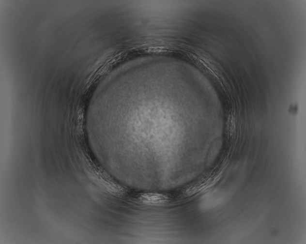 X0000088850557200706291457