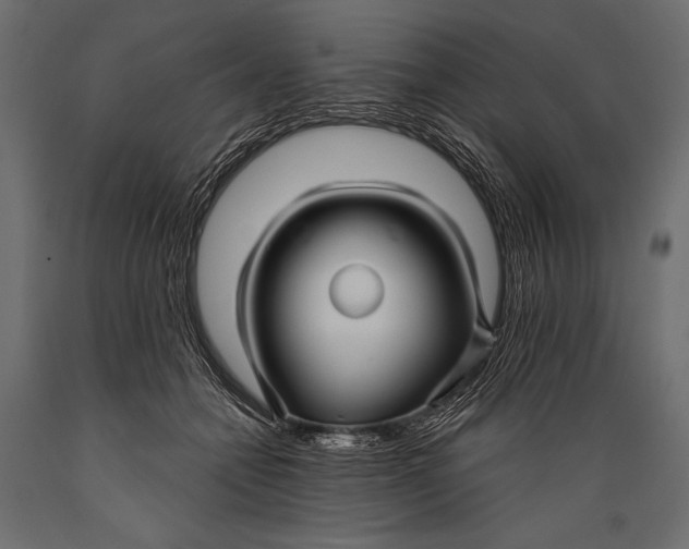 X0000088850558200706291457