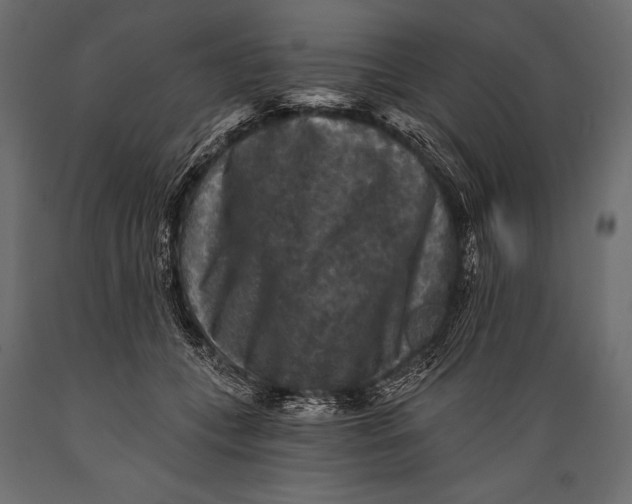 X0000088850559200706291457