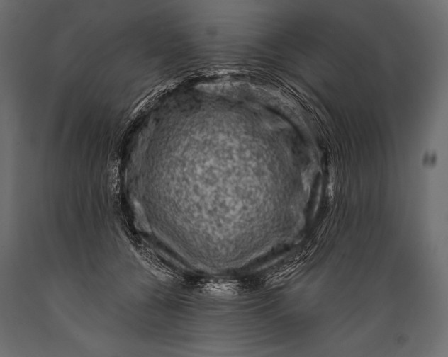 X0000088850560200706291457