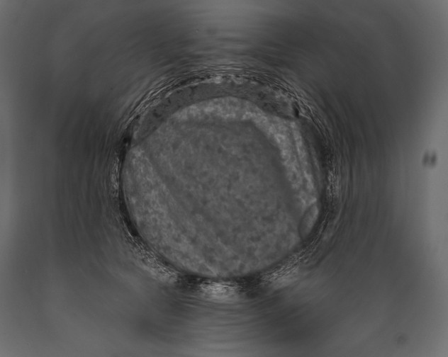 X0000088850561200706291457