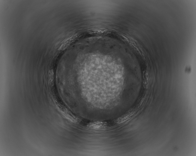 X0000088850563200706291457