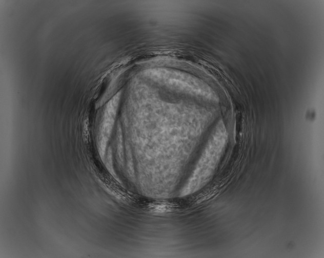 X0000088850564200706291457