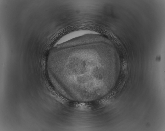 X0000088850565200706291458