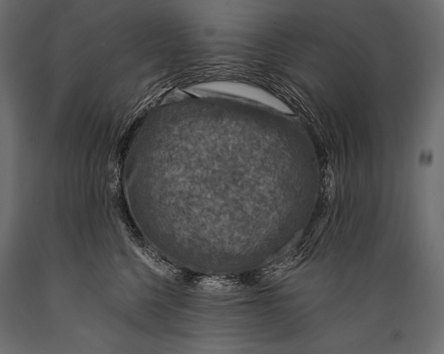 X0000088850568200706291458