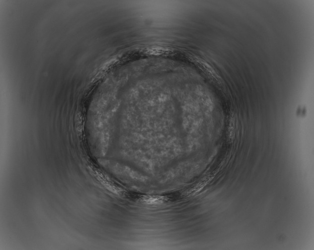 X0000088850569200706291458