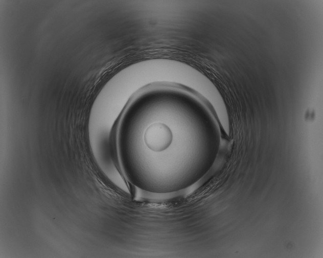 X0000088850570200706291458