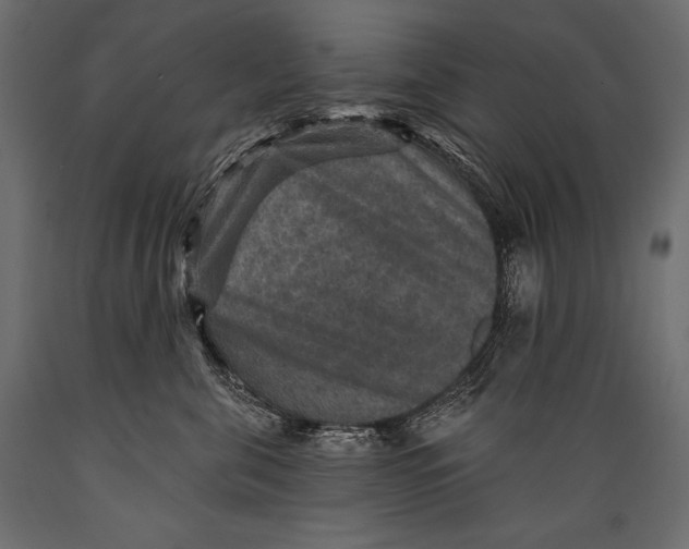 X0000088850571200706291458