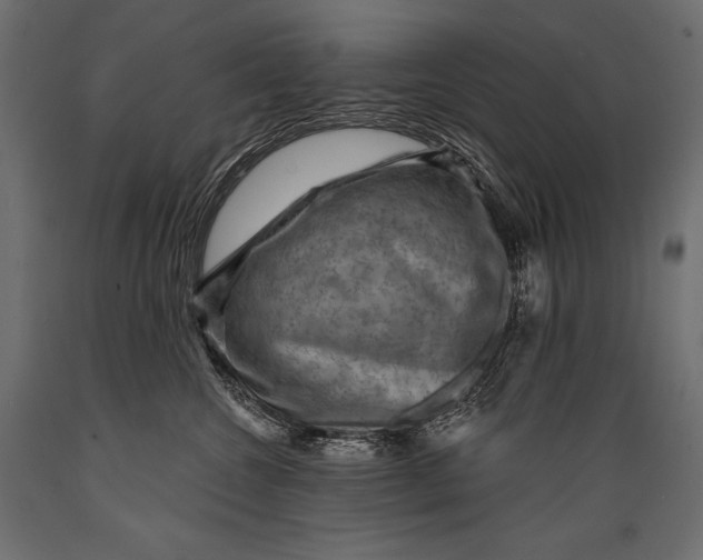 X0000088850572200706291458