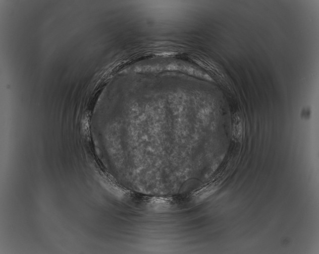 X0000088850573200706291458