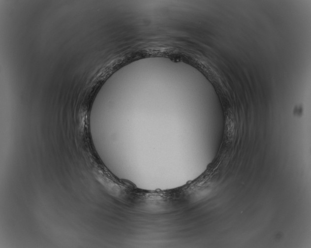 X0000088850574200706291458