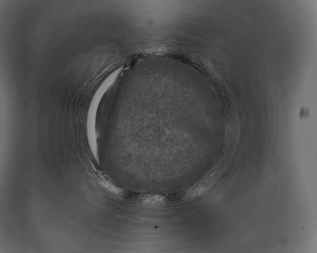 X0000088850576200706291458