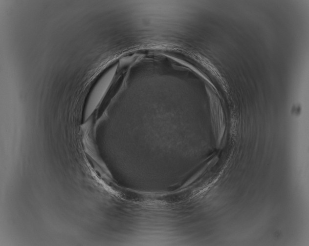 X0000088850577200706291457