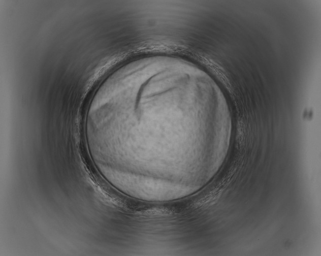 X0000088850578200706291457