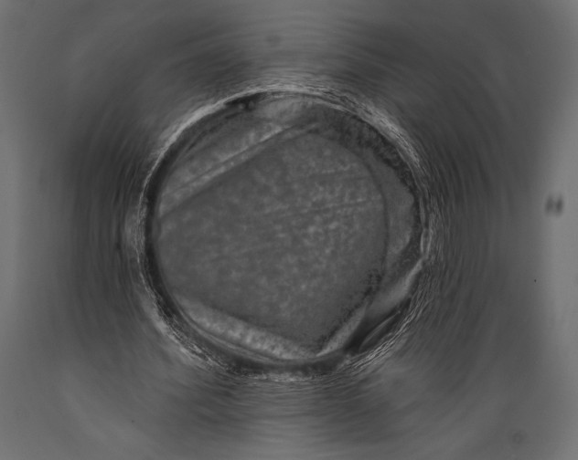 X0000088850580200706291457