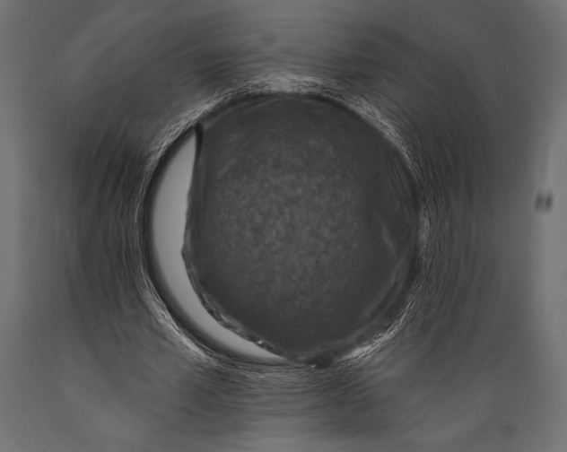 X0000088850581200706291457