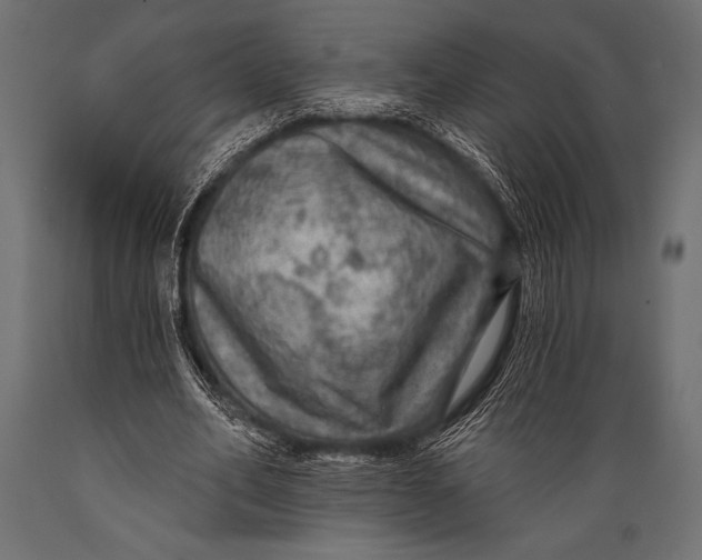 X0000088850582200706291457