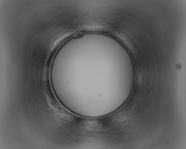 X0000088850583200706291457