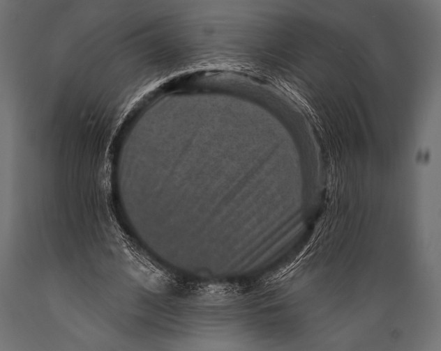 X0000088850584200706291457